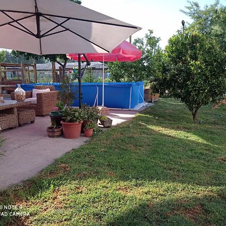 Cabana Corazon De Colchagua Sta Cruz Apartment Nancagua  Bagian luar foto