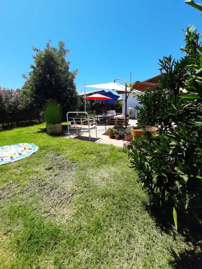 Cabana Corazon De Colchagua Sta Cruz Apartment Nancagua  Bagian luar foto